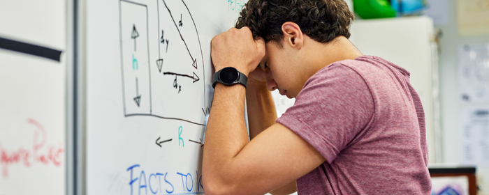 Maths Student Struggle in Physics